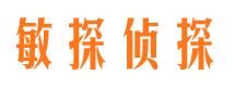 任县市侦探公司